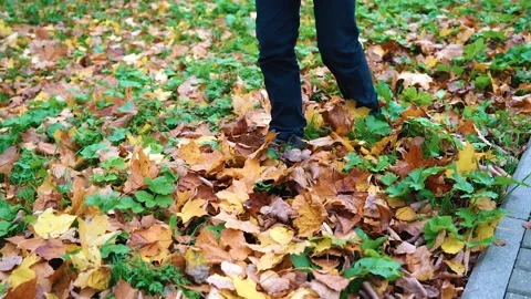 The guy is walking on the ground where the autumn leaves fall from the trees Stock Footage 141260389