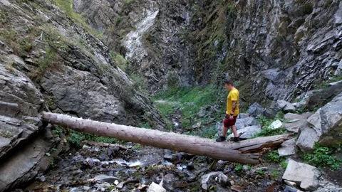 The guy is walking on a large tree above the river Video stock 160680829