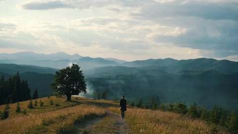 Guy walking in nature with views of the mountains and forests Stock Footage 118634270