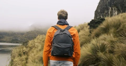 Guy walking through grassy landscape with view of mountains and lake Stock Footage 87212400