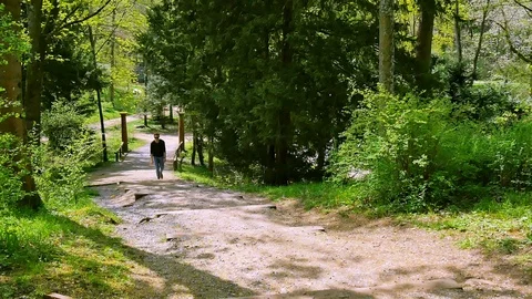 Guy walking through spring wood Stock Footage 89932737