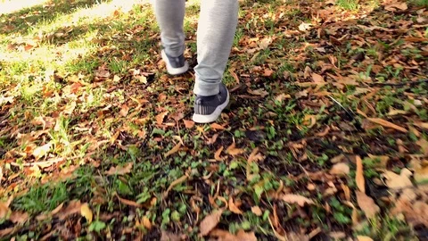 The guy is walking through the summer forest Video stock 115565188