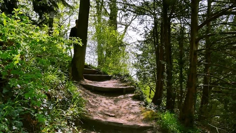 Guy walking through wood Stock Footage 89932808