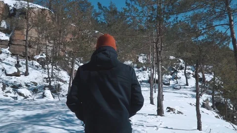 The guy is walking in the winter forest Stock Footage 87586202