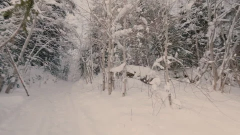A guy walks alone in the woods in winter. From the first person. Stock Footage 327318944