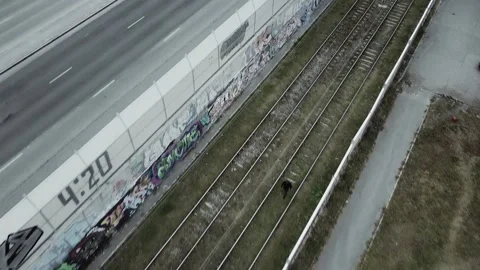 A guy walks along tram tracks in a bad neighborhood Stock Footage 162037555