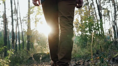 The guy walks in the autumn forest at sunset. Slow motion Stock Footage 96487678