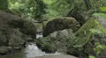 guy walks barefoot in the stream - water - branch - river - creek HD Footage