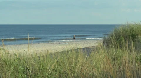 Guy Walks on Beach Stock Footage 66542060