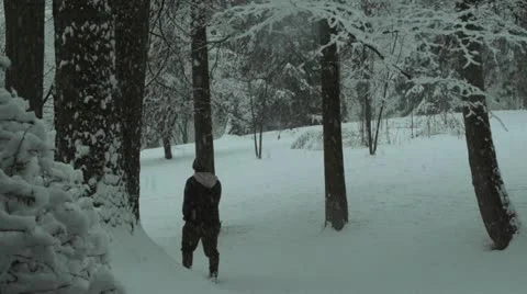 Guy walks in forest -snowing Stock-Footage 21254482