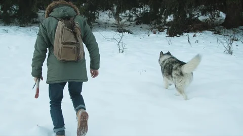 The guy walks with his dog in the forest Stock Footage 123522344