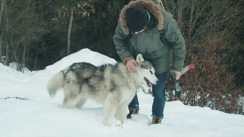 The guy walks with his dog in the forest Stock Footage 123524144