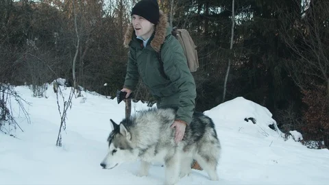 The guy walks with his dog in the forest Stock Footage 123524555