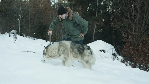 The guy walks with his dog in the forest Stock Footage 123524917