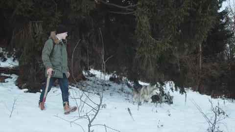 The guy walks with his dog in the forest Stock Footage 123528014