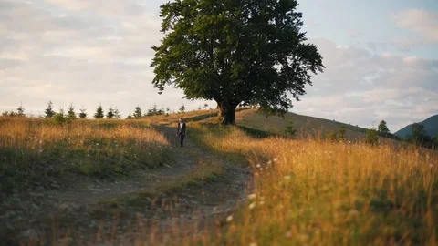 Guy walks near a tree in nature Stock Footage 117542261