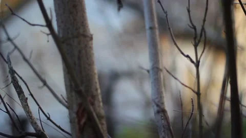 Guy walks through an abandoned building Stock Footage 130739380