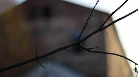 Guy walks through an abandoned building Stock Footage 130739449