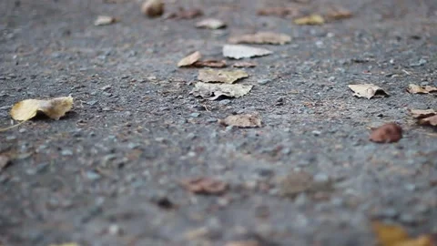 Guy walks through an abandoned building Stock Footage 130739687