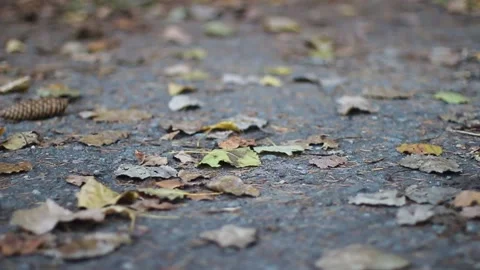 Guy walks through an abandoned building Stock Footage 130739698
