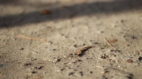 Guy walks through an abandoned building Stock Footage 130740297