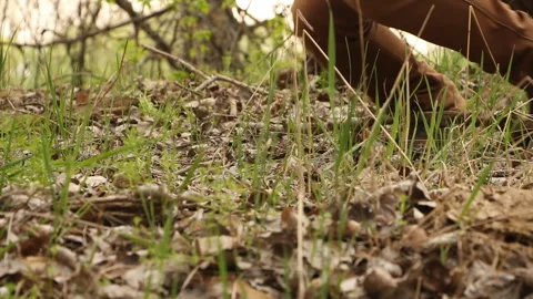 The guy walks through the park and stumbled on a branch and fell. Stock Footage 265199524