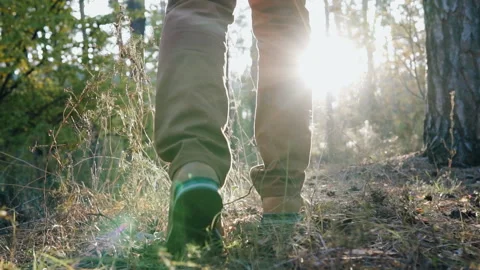 The guy walks through the woods at sunset Stock-Footage 102784516