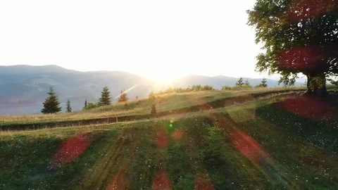 The guy walks with a view of the mountains in the sun Stock Footage 118580222
