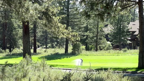 Guy Watering a Gold Course Stock Footage 245838817