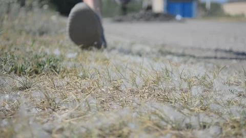 The guy went for a run Stock Footage 111669901