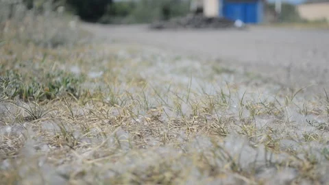 The guy went for a run in the summer Stock Footage 111669856