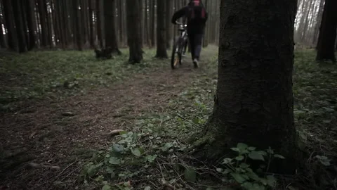 The guy in the woods with a bike Stock Footage