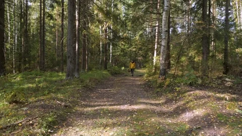 A guy in a yellow jacket walks through the woods with a basket of mushrooms in h Stock-Footage 161302412