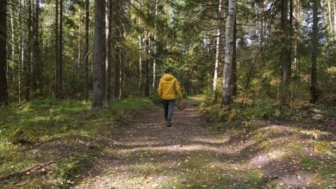 A guy in a yellow jacket walks through the woods with a basket of mushrooms in h Stock Footage 161302424