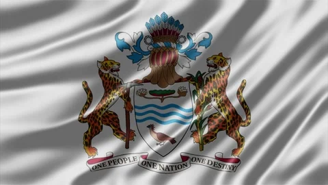 Guyana coat of arms waving on white fabric texture background Stock-Footage 343935280