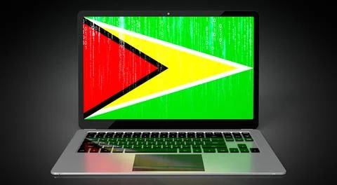 Guyana - country flag and binary code on laptop screen Stock Illustration
