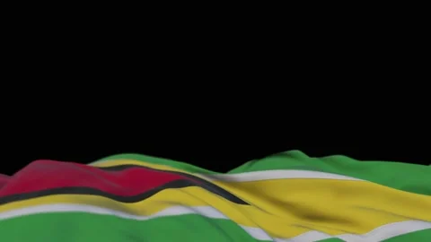Guyana fabric flag waving on the wind loop. Guyanese embroidery stiched cloth Stock Footage 194420109