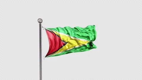 Guyana Flag  Animation Loop Include Alpha 3D Rendering Video stock 283083855