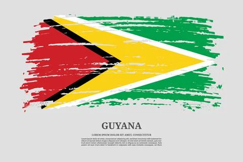 Guyana flag with brush stroke effect and information text poster, vector Illustrazione stock