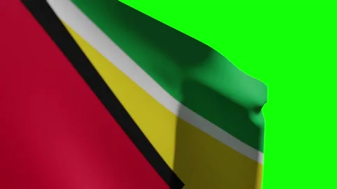 Guyana Flag Close Видео 134852463
