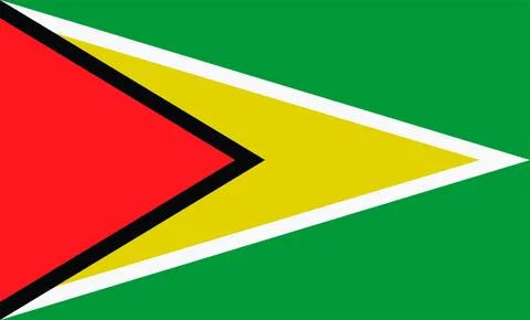 Guyana Flag Design Stock Illustration