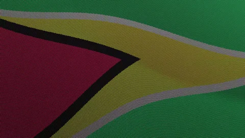 Guyana Flag Digital Particle Waving Seamless Loop Animation on Black Backgrou Stock Footage 339302642