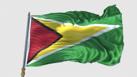 Guyana Flag on a flagpole Waving on Transparent Alpha Background Stock Footage 292122912