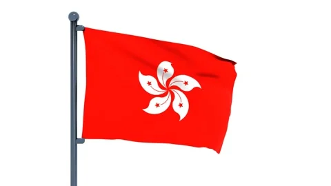 Guyana Flag Stock Footage 150197790