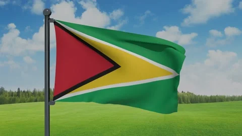 Guyana Flag Stock Footage 152709298