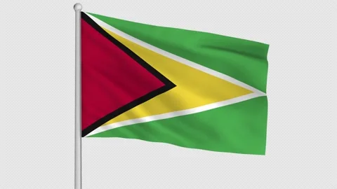 Guyana Flag Stock-Footage 225334590