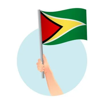 Guyana flag in hand icon 스톡 일러스트