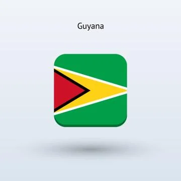 Guyana flag icon Stock-Illustration