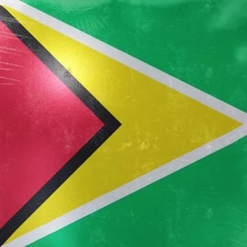 Guyana flag icon Stock Illustration