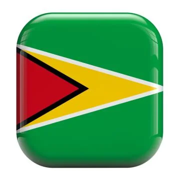 Guyana flag icon image Stock Illustration